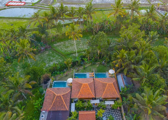 Umana Ubud Eco Villa *