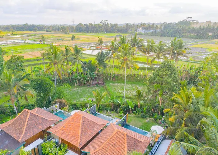 Umana Ubud Eco Villa *