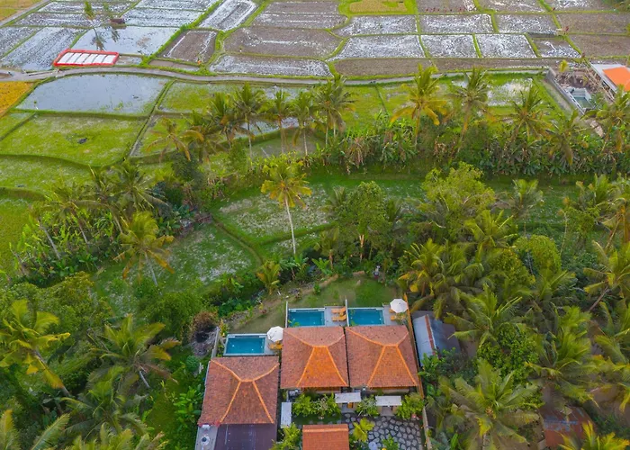 Villa Umana Ubud Eco